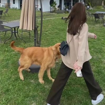 球拍少年团